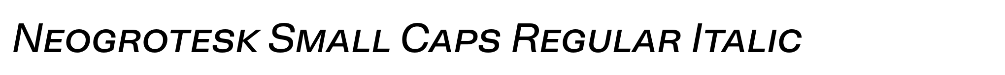 Neogrotesk Small Caps Regular Italic image